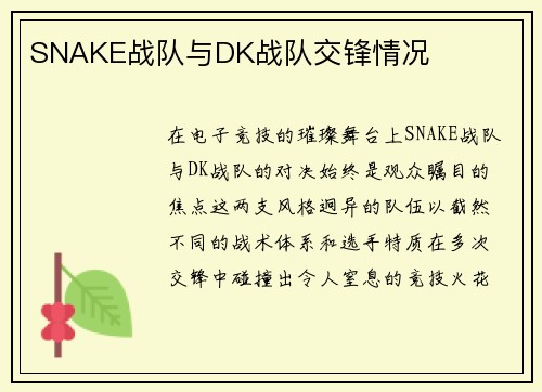 SNAKE战队与DK战队交锋情况