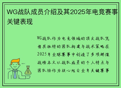 WG战队成员介绍及其2025年电竞赛事关键表现