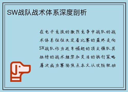 SW战队战术体系深度剖析
